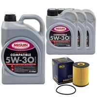 MotoröL Set Compatible 5W-30 Plus Meguin 8 Liter + ÖLfilter FüR Audi A8 4.2 3.7