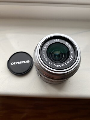 Olympus M.Zuiko Digital ED 14-42mm f/3.5-5.6 II Silver AS IS Issues with Zoom?