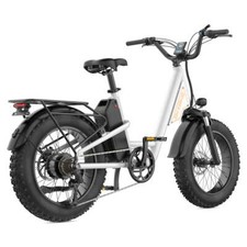 1500W Peak 48V Electric Bike, 20" Fat Tire 70 Miles Range Ebike 30MPH