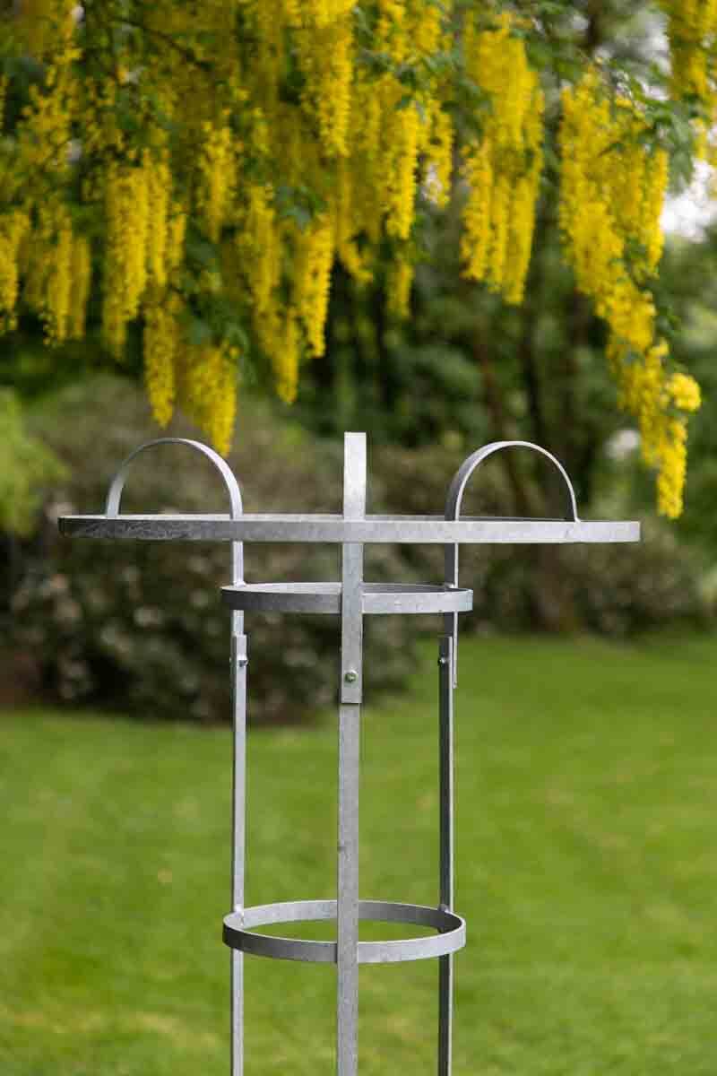 mammutbaum bonsai indoor Bonsai-Baum main image 0
