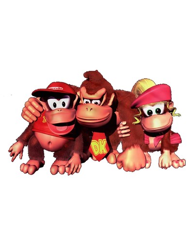Camiseta DKC2 Cast Premium Unisex | Personajes Arte | Regalos para Él, Ella, Jugadores - Imagen 2 de 7
