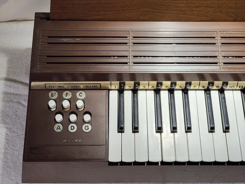 Órgano Acorde Eléctrico Magnus Modelo 350, Totalmente Probado, Funciona Perfecto, Ver Video Foto 3 de 4