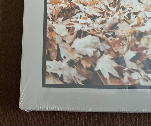 Dan Auerbach - WAITING ON A SONG - Marbled Gray Colored Vinyl + Poster OOP 🔥 - Picture 7 of 23