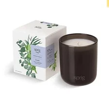 Sprig by Breathe Aromatherapy Candle with Eucalyptus and Mint, 100% Natural S...