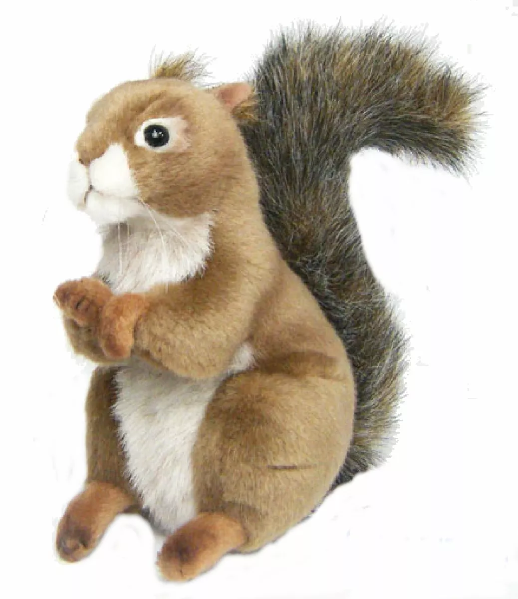 Hansa squirrel store