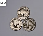 1913+1913-D+1913-S Buffalo Nickel Set/Lot ~ Type 1 ~ ZBL71
