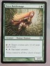 magic the gathering Naya Battlemage 142/249 Shards of Alara regular uncommon NM