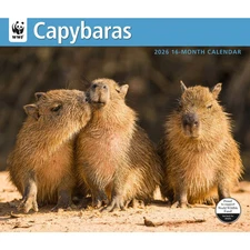 Carousel Calendars,  Capybara WWF 2026 Wall Calendar, 12'' X 28'', 16-Month Cale