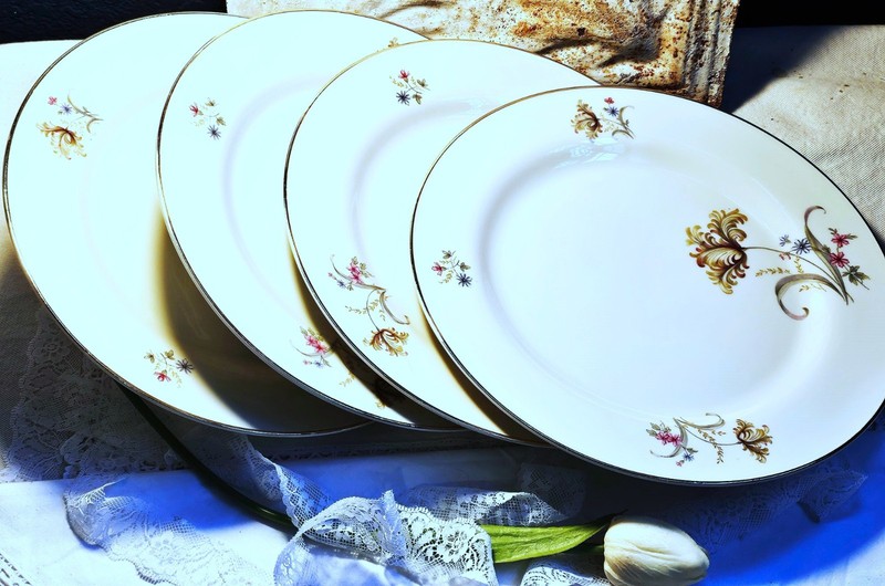 Tirschenreuth "TIR141" Set of 4 Dinner Plates