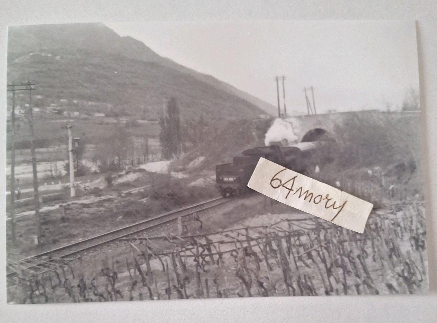 Fotografia Locomotiva a vapore FS Gr 743.283
