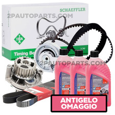 Kit de distribution Seat EXEO