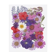 38 Pcs Dried Pressed Flower Leaves Bulk for Resin, Purple Colors