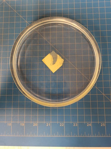 Heavy Duty Clear Glass Petri Dish 6.5 Inch Diameter Thick Walled Lab Glassware