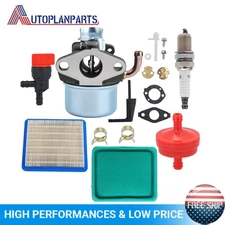 Carburetor For Briggs&Stratton Intek 190 206 5.5-6.5HP OHV 791077 215369 798653