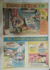 Strange As It Seems: Pig-Tales, Painter Benjamin Haydon ! by Hix from 3/1/1936
