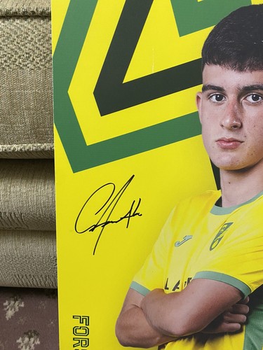 Norwich City FC Gabe Forsyth #41 Signed Home Dressing Room Player Sign With COA - Picture 8 of 14