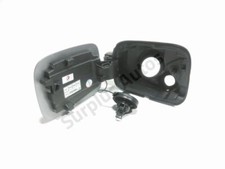 Carburateur Citroen C3