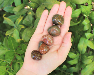 5 Pack Tumbled Stone Lots: Choose Type (Premium Quality 'A' Grade Stones)