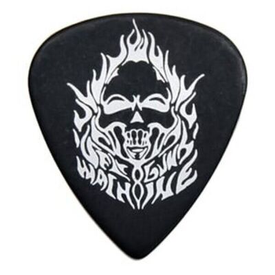 ESP Anchang model Teardrop GuitarPick