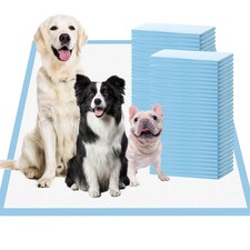 Extra Large Pee Pads for Dogs, 36x36 30 Counts Puppy Pads XL, Puppy Pee Pads Sup