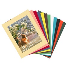 ZBEIVAN 12 Packs Mixed Colors 11x14 Picture Frame Mats for 8.5x11 Photos, Art