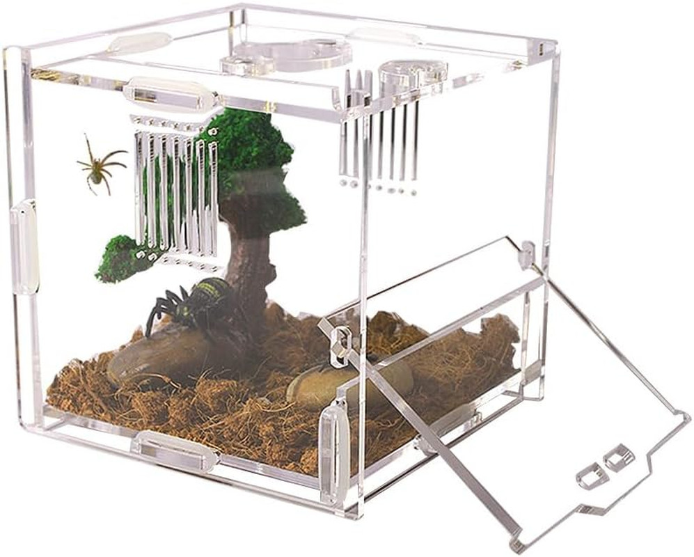 Acrylic Jumping Spider Enclosure, Small Reptile Terrarium Habitat for