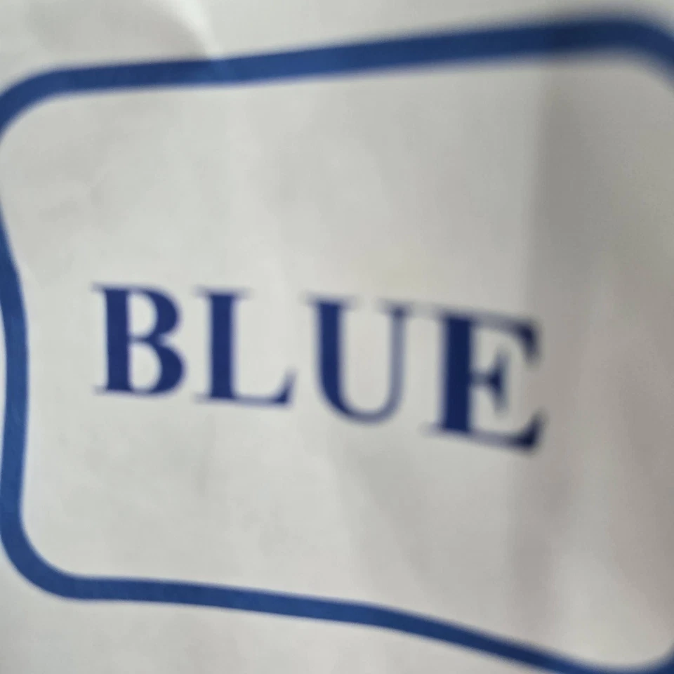 Vans Men Shorts 32 Blue Cargo Twill Button 10" Inseam Outdoor - Image 4 of 4