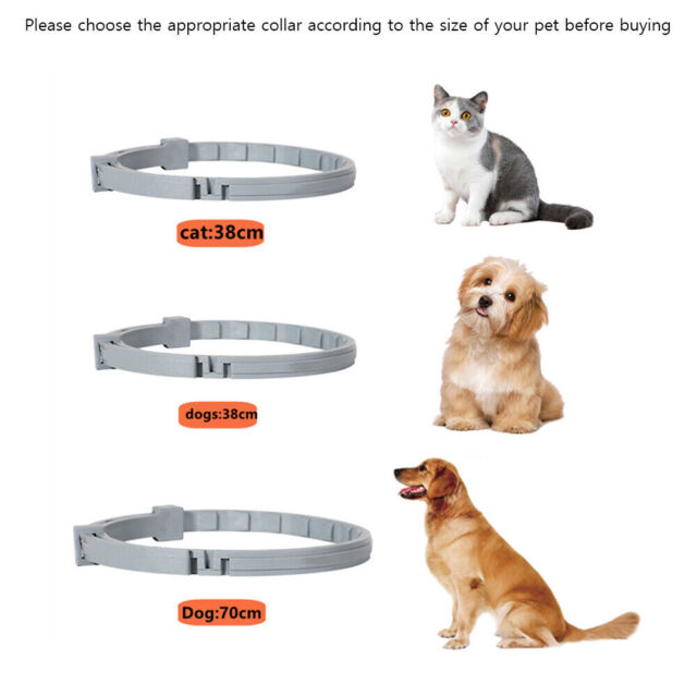 New Adjustable Anti Flea And Tick Collar 8 Months Protection For Dogs Cats UK GU10708