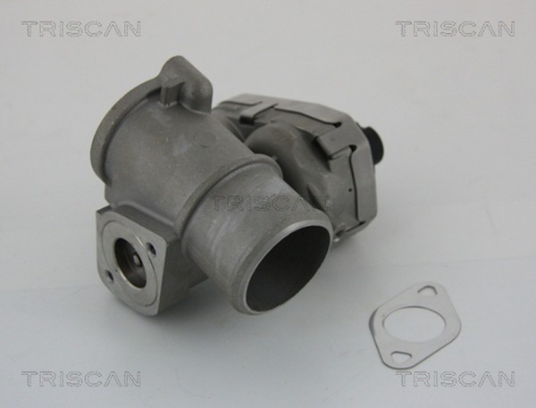AGR Ventil Triscan 8813 16101 FüR Ford Jaguar X400 B5Y BWY Mondeo Type B4Y 3 1-image