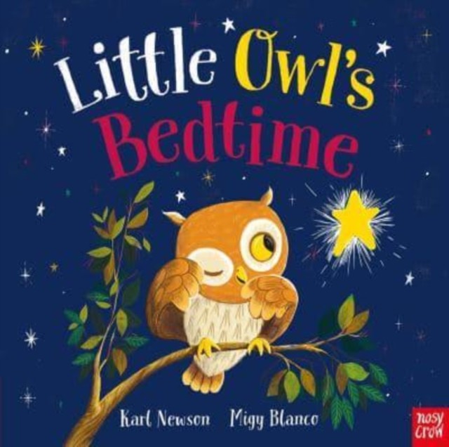Little Owl's Bedtime by Karl Newson (Paperback Book)