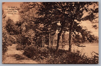 The Road to Cold Spring Camp Forest Lake Averill VT Vermont Postcard I6