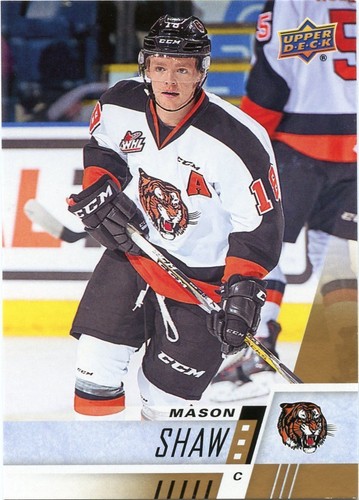 17/18 UPPER DECK CHL #33 MASON SHAW MEDICINE HAT TIGERS *48569