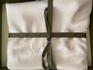Single 100% Mulberry Silk 19 MM Seamless Silk flat bedsheet RRP: £139