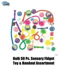Bulk 50 Pc. Sensory Fidget Toy & Handout Assortment
