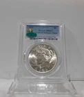 (CAC) HOT 50 / GOLD SHIELD!  1923-P  PEACE "VAM-1D" Silver Dollar, PCGS MS-63!