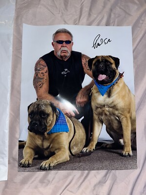 パグ American Chopper Orange County Choppers Paul Teutul Senior