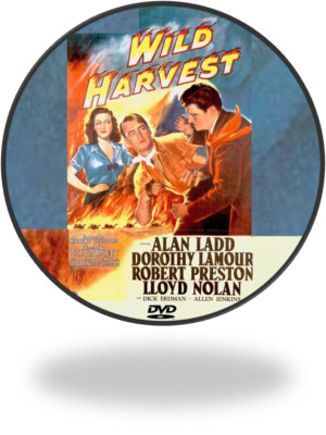 WILD HARVEST 1947 Dorothy Lamour | eBay