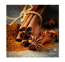 Palitos de canela orgánicos de Ceilán - especias naturales de alta calidad en Sri Lanka