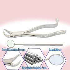 Dental Extracting Forceps 16S Cow Horn Beak Lower Molars  Free Dental Mirror