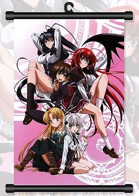 High School Dxd Anime Literature Series Wall Art Home Decor - POSTER 20x30