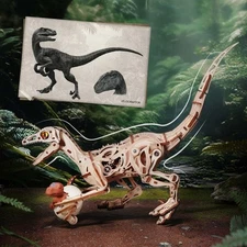 ROKR Velociraptor 3D Wooden Puzzle Dinosaur Model Kit Puzzle DIY Model Kit Gifts