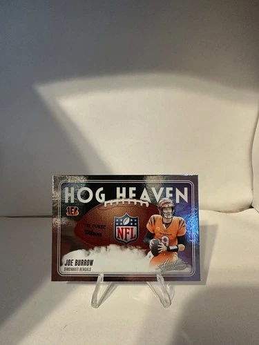 2025 Panini Absolute Joe Burrow Base (RAW)