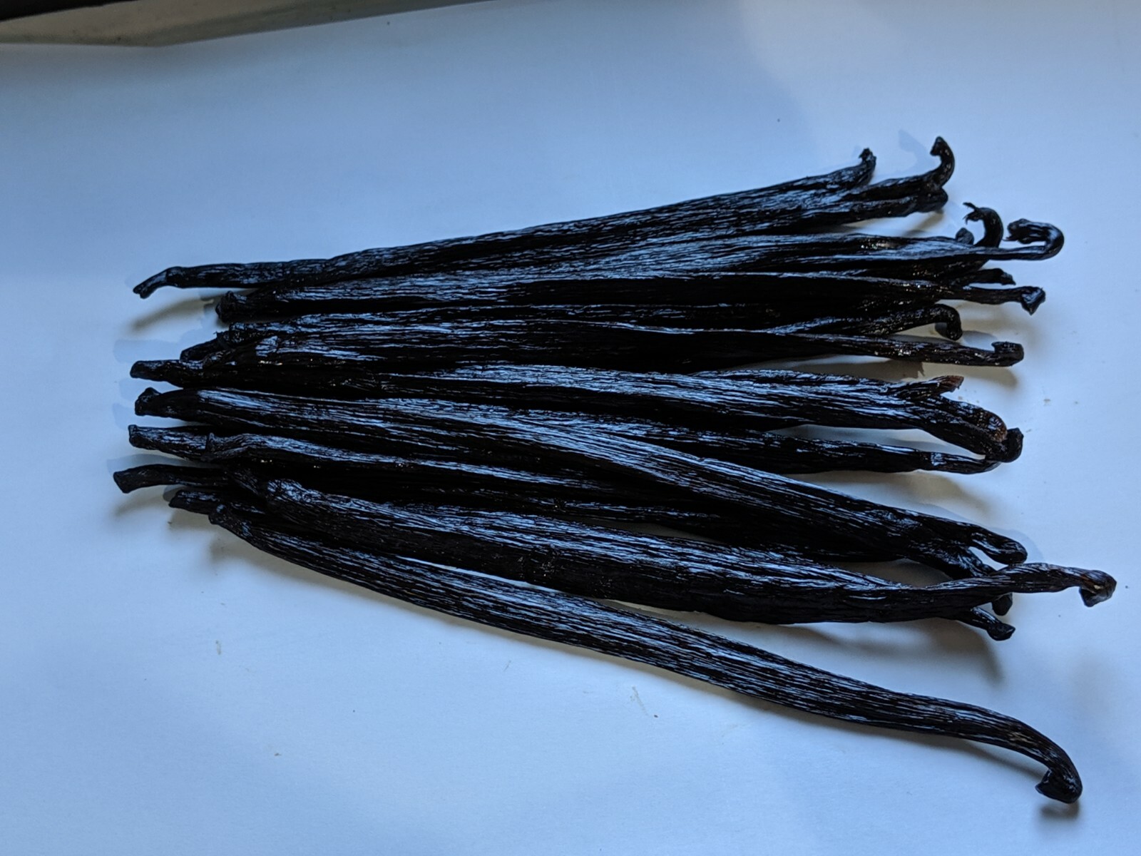 10 Tahitian Fresh Gourmet Grade A Vanilla Beans eBay