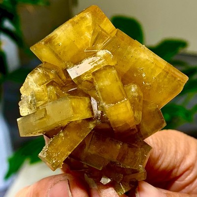 94G Shiny Golden Cuboid Barite Crystal Based on the Purple Spherical Fluorite
