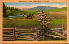 Greetings from Brandon Vermont Horse Plough Farmland Postcard