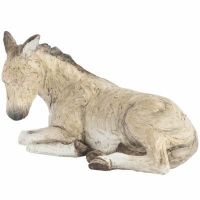 More Than Words A Donkey