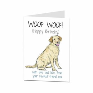 labrador birthday