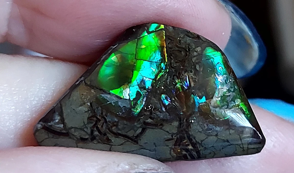 Ammolite ebay shop