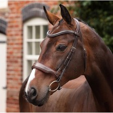 Shires Velociti LUSSO Opus Dressage Cavesson Bridle - Havana