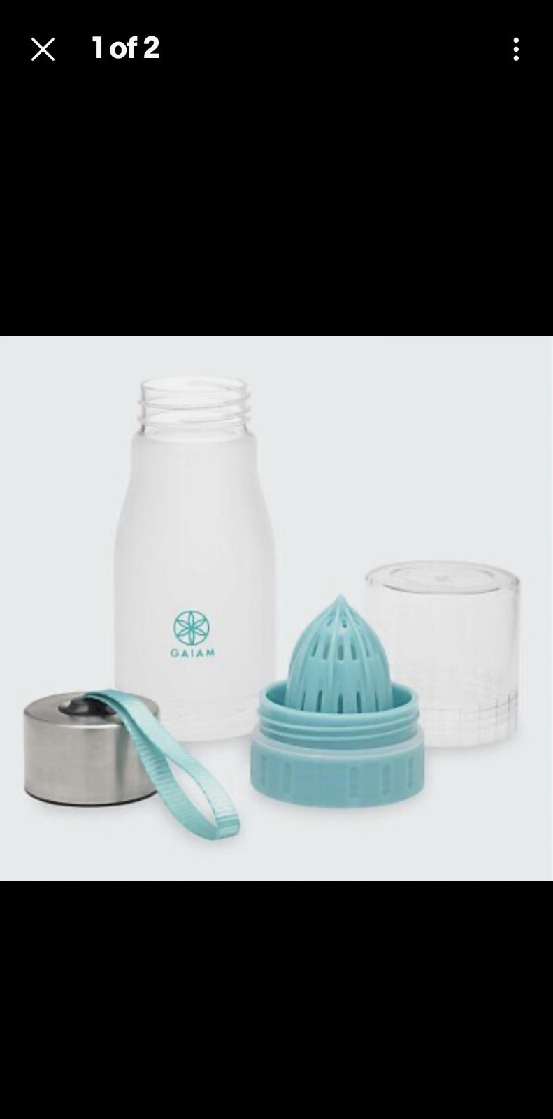 NWT Gaiam 22oz Fruit Infused Water Bottle Lemon Squeeze Mint w Strap BPA Free
